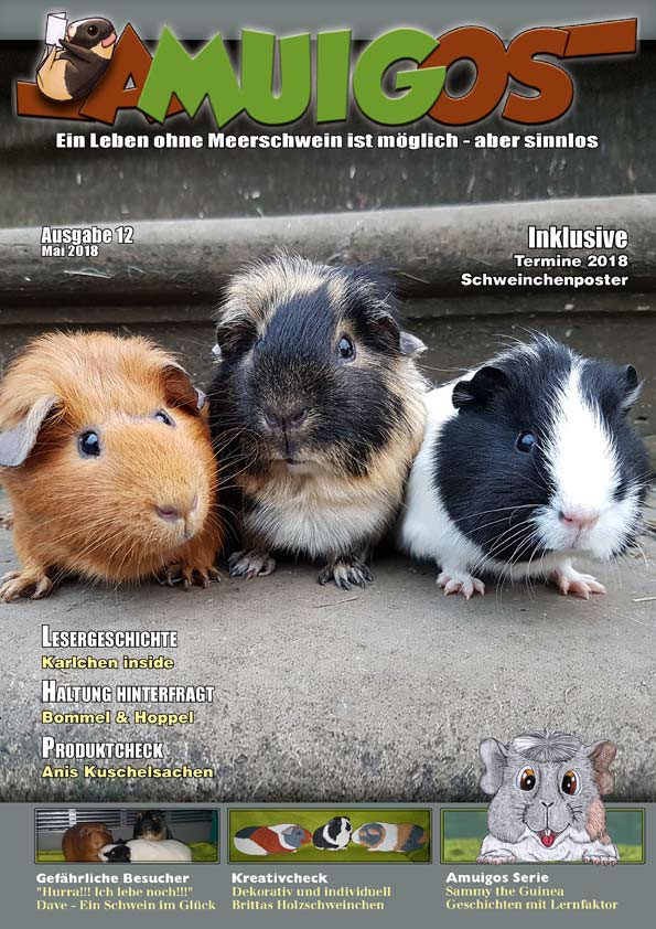 Newsbilder: amuigos_12_cover.jpg