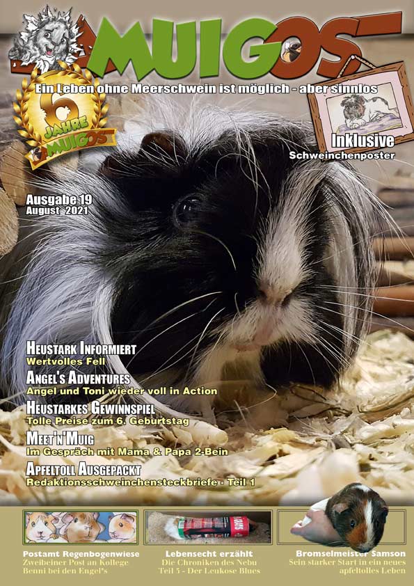 Newsbilder: amuigos_19_cover_web.jpg