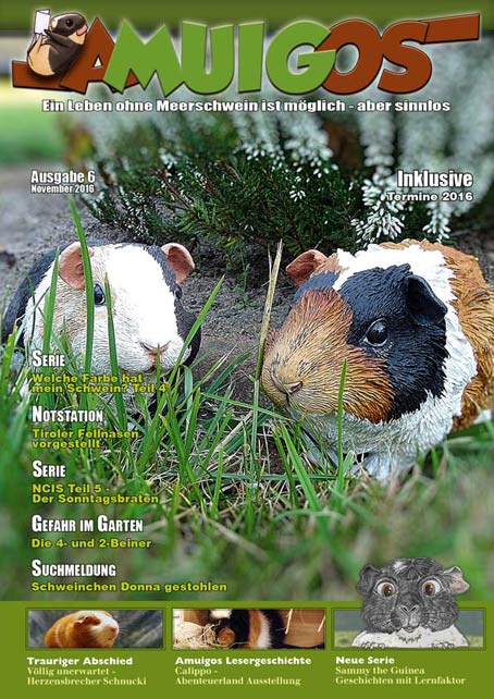 Newsbilder: amuigos_6_2016_cover.jpg