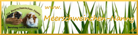 Die Meerschweinchen Nanny