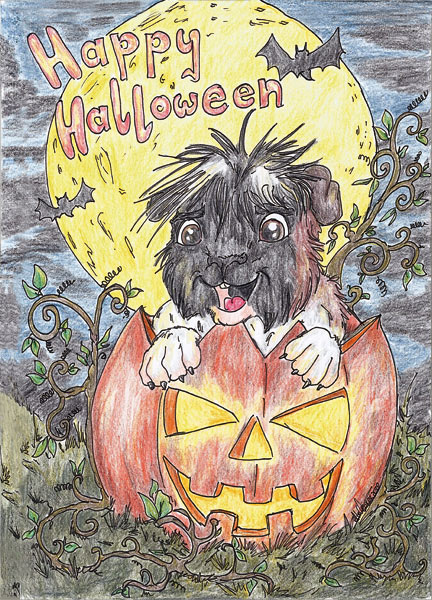 Sammy - Halloween