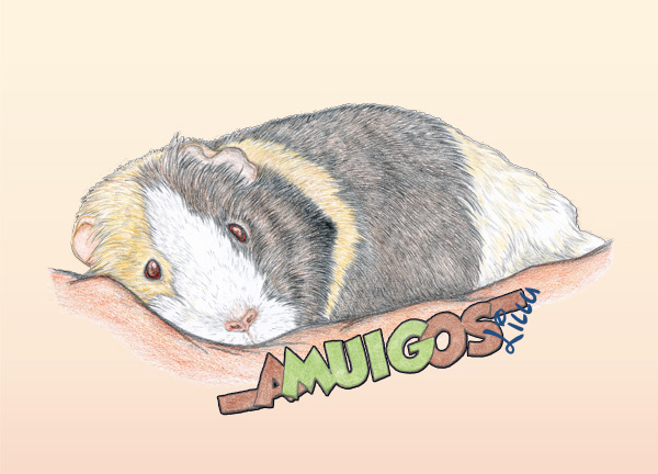 Lillu Postkarte