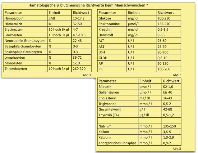 Hauptbilder: richtwerte-ms.jpg